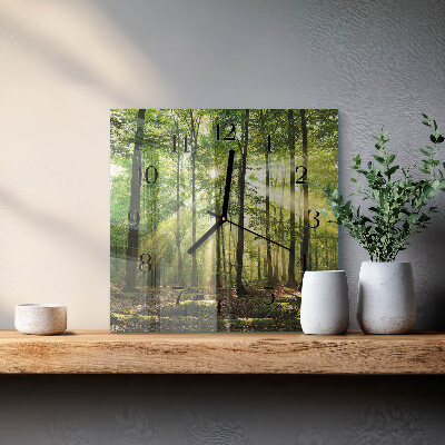 Vierkante glazen wandklok Bosnatuur