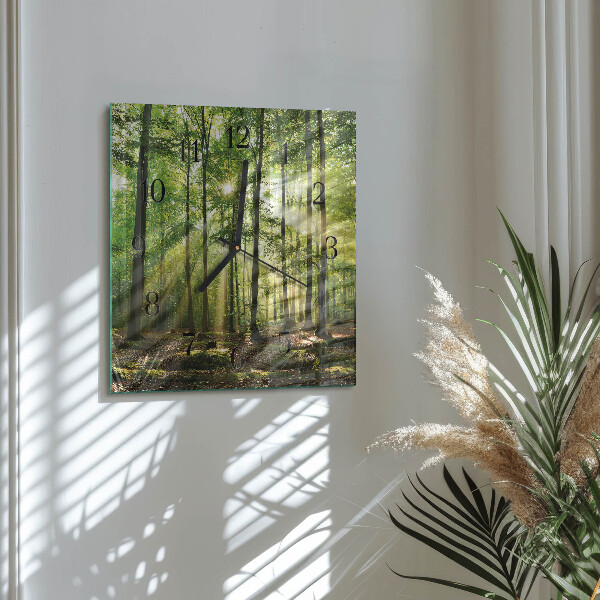 Vierkante glazen wandklok Bosnatuur