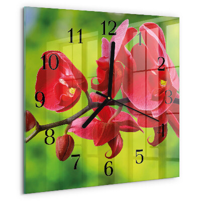 Vierkante glazen wandklok Orchidee