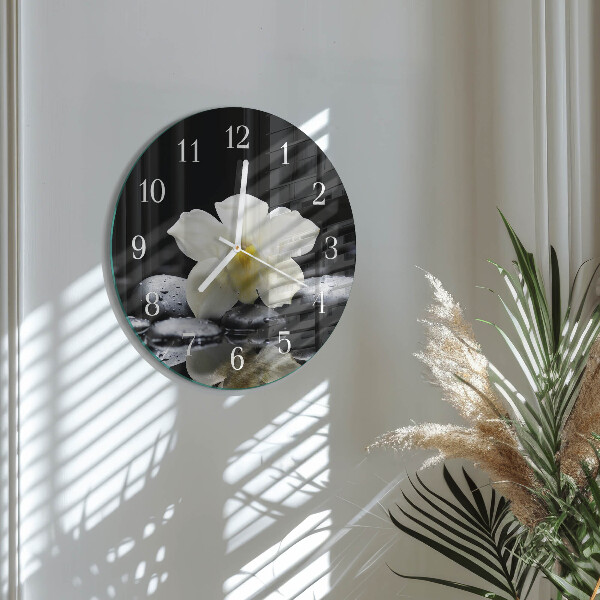 Ronde glazen klok Orchideeënstenen