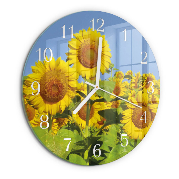 Ronde glazen klok Zonnebloemen