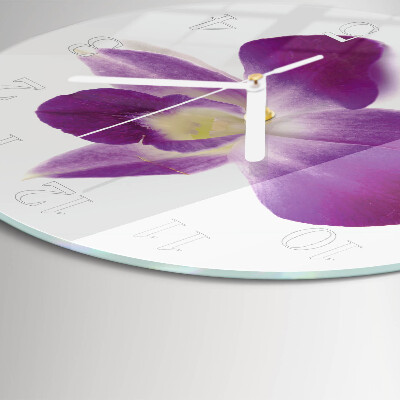 Ronde glazen klok Orchideebloem