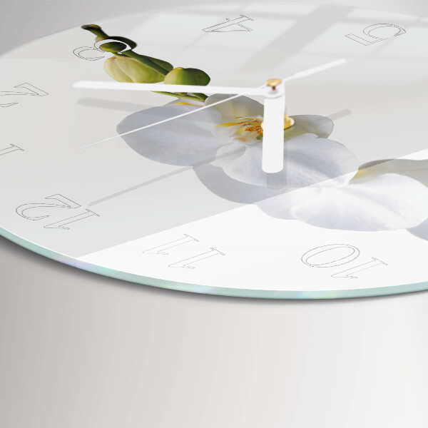 Ronde glazen klok Orchidee
