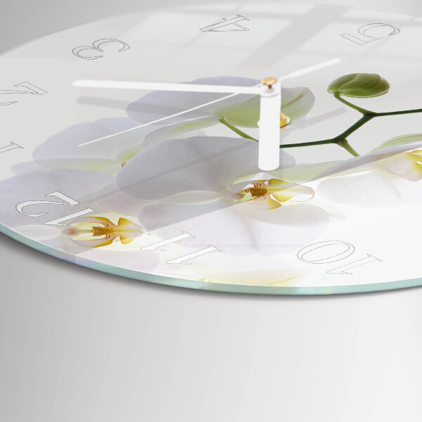Ronde glazen klok Orchidee