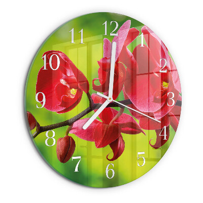 Ronde glazen klok Orchidee