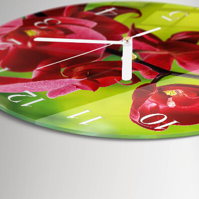 Ronde glazen klok Orchidee