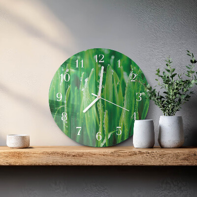 Ronde glazen klok Groen gras