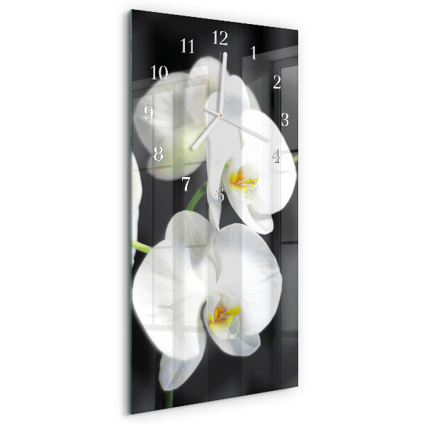 Glazen klok rechthoekige Orchidee