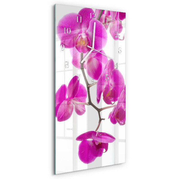 Glazen klok rechthoekige Orchideeën