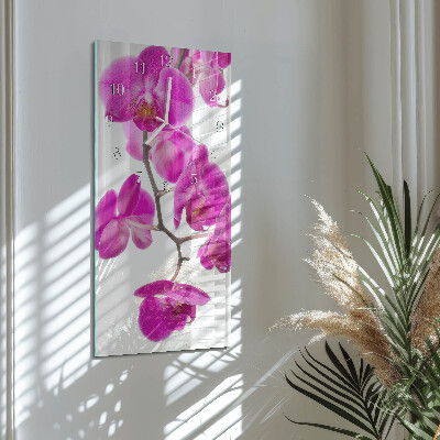 Glazen klok rechthoekige Orchideeën