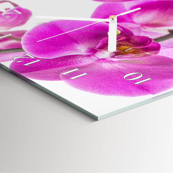 Glazen klok rechthoekige Orchideeën