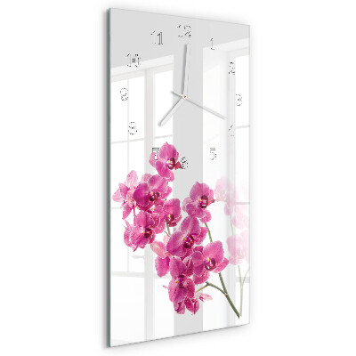 Glazen klok rechthoekige Orchideeën