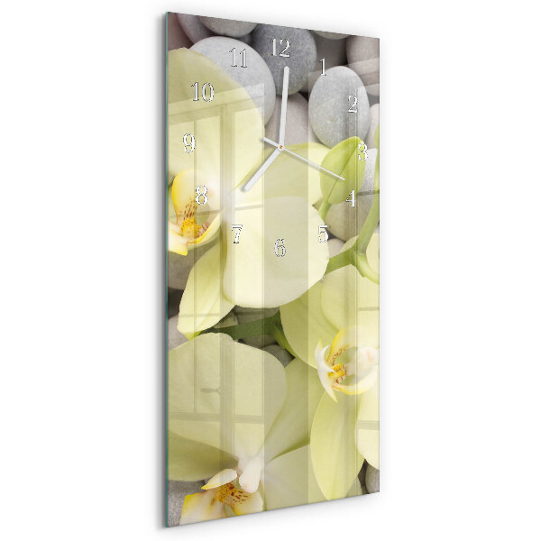 Glazen klok rechthoekige Orchideeënstenen