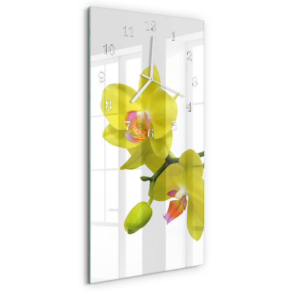 Glazen klok rechthoekige Orchidee