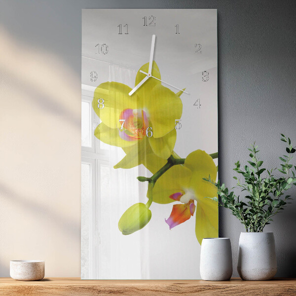 Glazen klok rechthoekige Orchidee