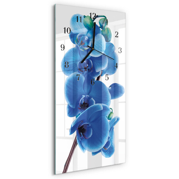 Glazen klok rechthoekige Orchidee