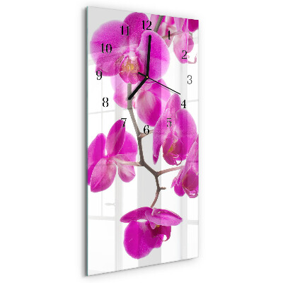 Glazen klok rechthoekige Orchideeën