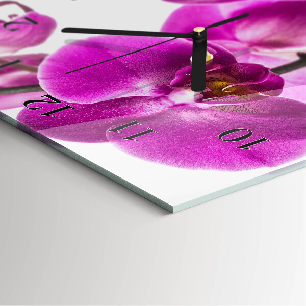 Glazen klok rechthoekige Orchideeën