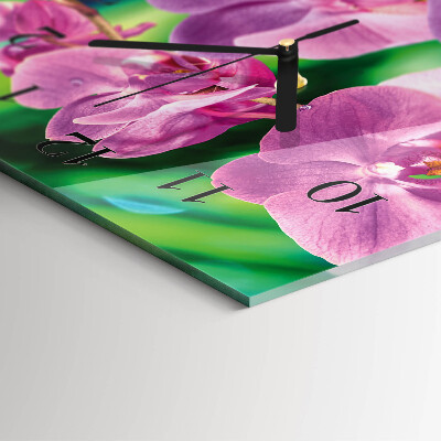 Glazen klok rechthoekige Orchideeën