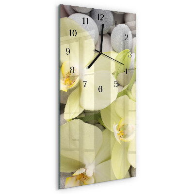 Glazen klok rechthoekige Orchideeënstenen