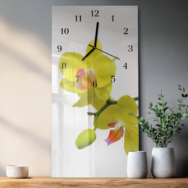 Glazen klok rechthoekige Orchidee