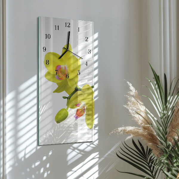 Glazen klok rechthoekige Orchidee