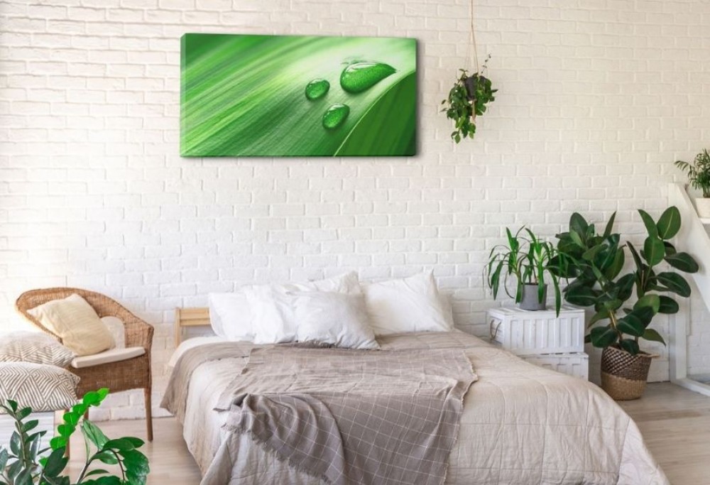 decoratie van gehuurde appartementen