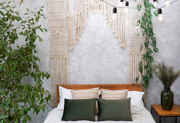 Bloemen voor de slaapkamer - de beste planten die de lucht zuiveren en zorgen voor een gezonde slaap