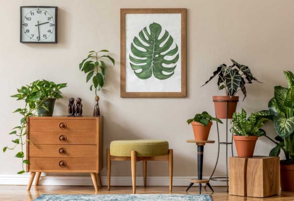 najlepsze rośliny oczyszczające powietrze